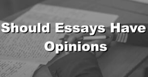 should essays have opinions