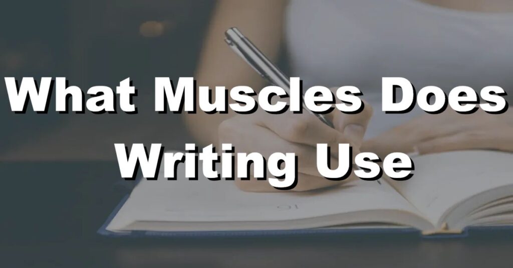 what muscles does writing use